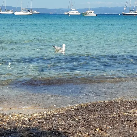 아파트 Sur Le Port *